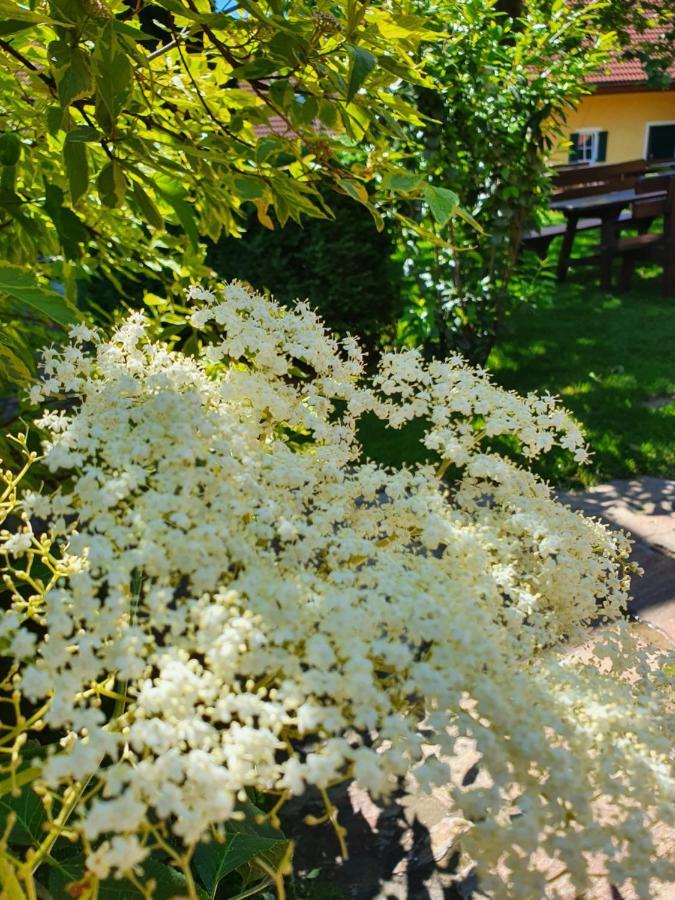 Hotel Landhof Steinbaeck Sankt Stefan ob Stainz Exteriér fotografie